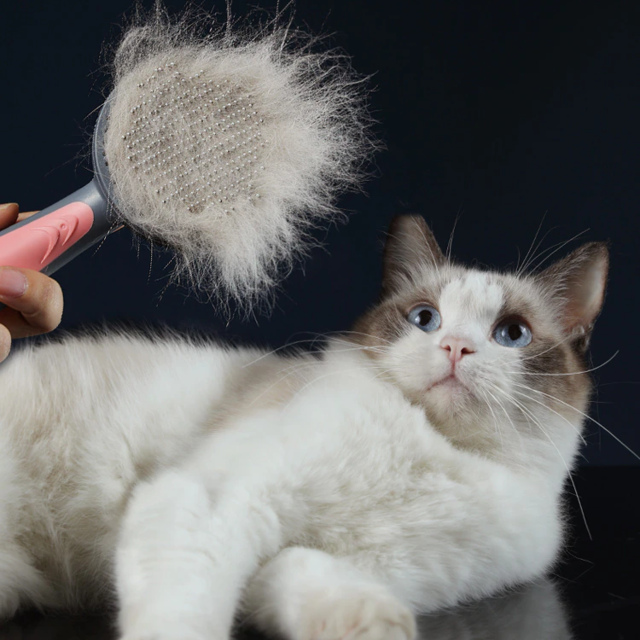 Cepillo Para Gatos | Especial Pets