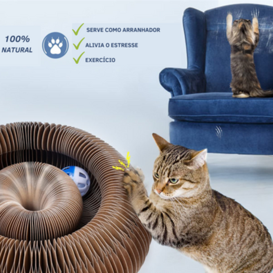 Juguete Interactivo Para Gatos I Cat Joy +1 Pelotita de Regalo