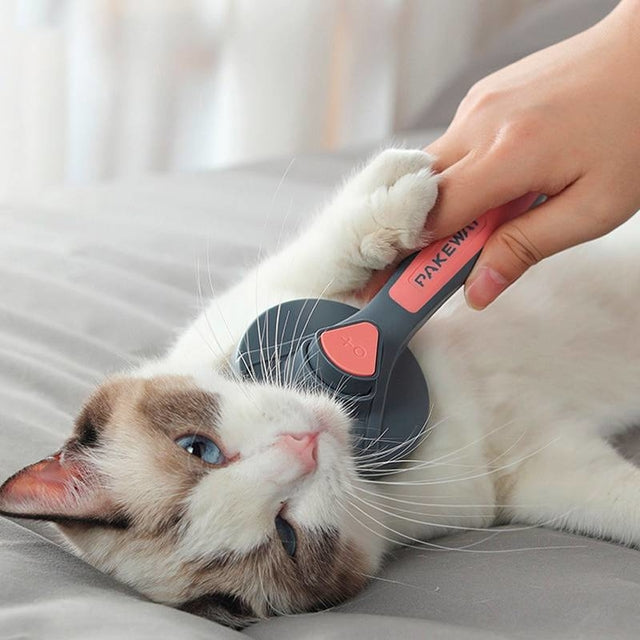 Cepillo Para Gatos | Especial Pets