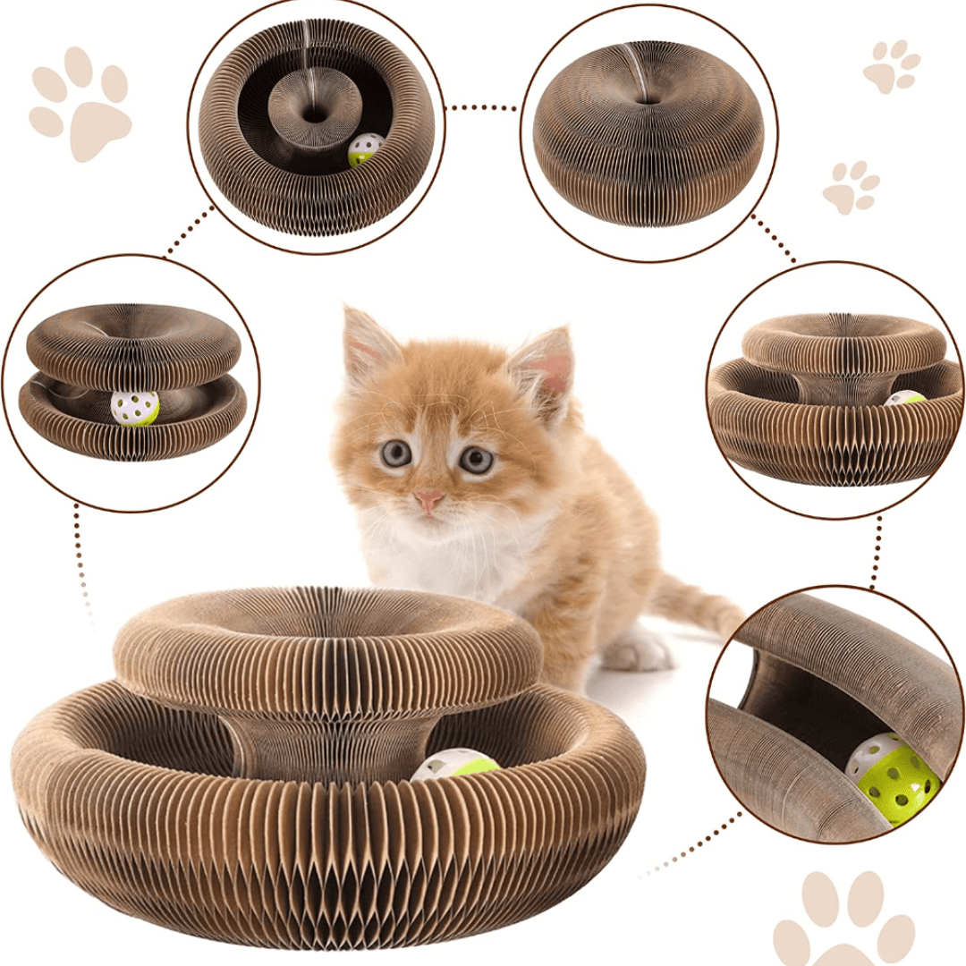 Juguete Interactivo Para Gatos I Cat Joy +1 Pelotita de Regalo