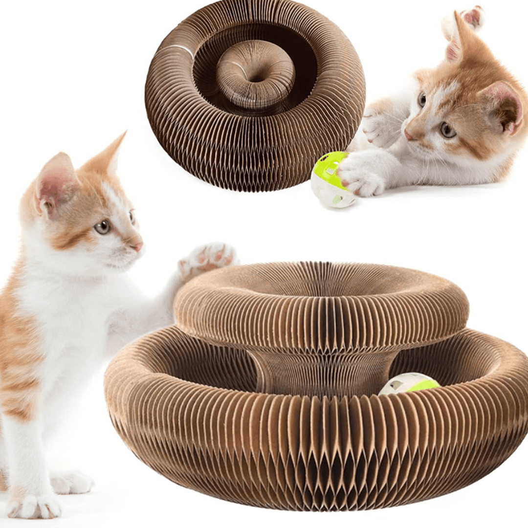 Juguete Interactivo Para Gatos I Cat Joy +1 Pelotita de Regalo