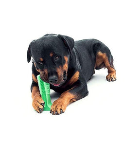 Mordedor y Cepillo de Dientes para Perros | Limpieza Dental para Mascotas