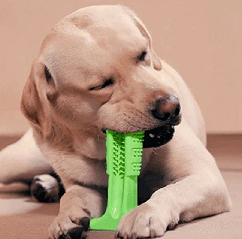 Mordedor y Cepillo de Dientes para Perros | Limpieza Dental para Mascotas