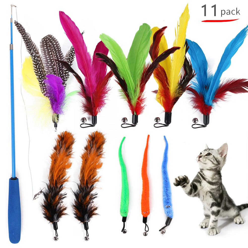 Juguete para Gato | Toy for Kitten